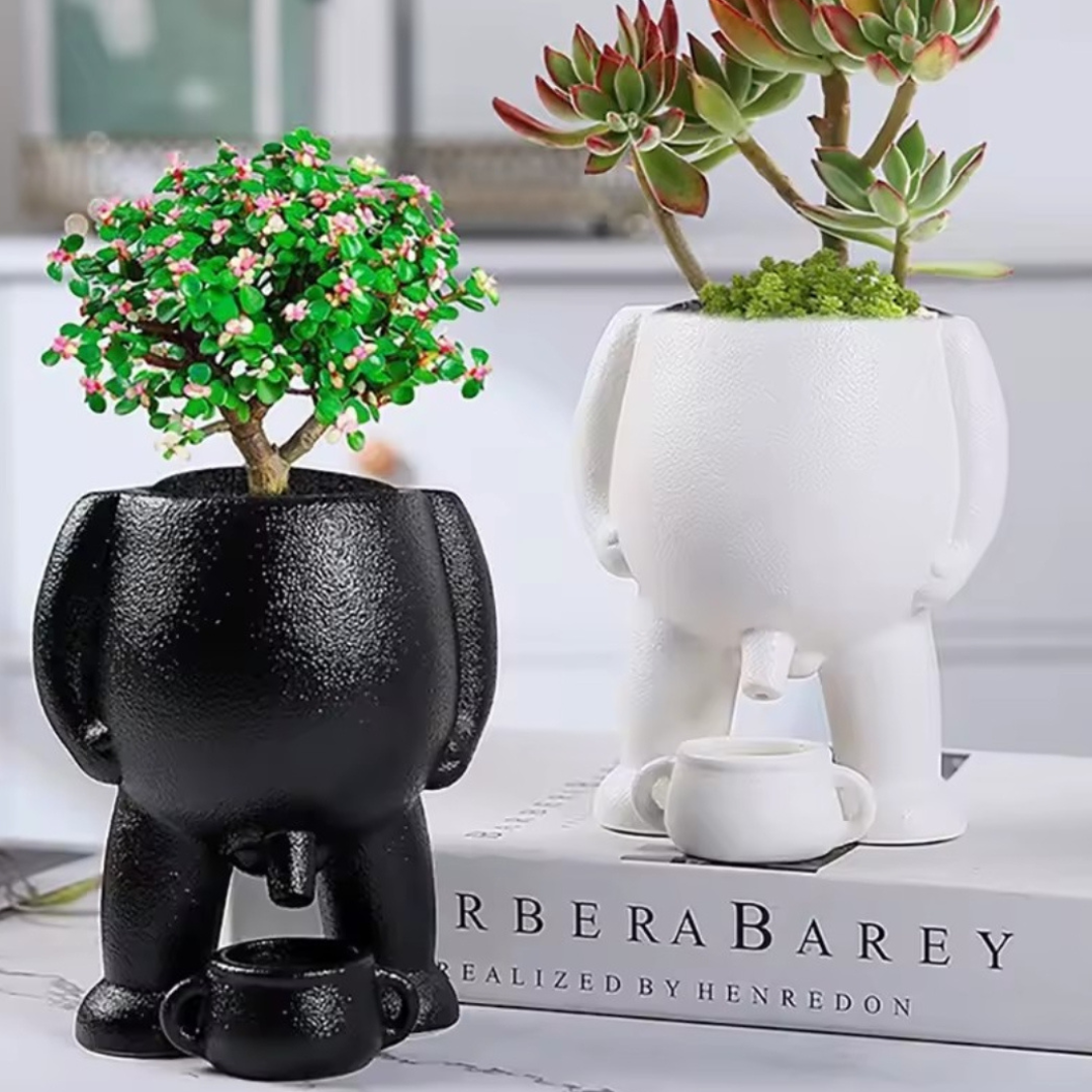 BloomBuddy